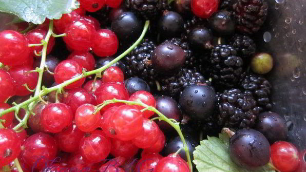 торт ягодная мелодия