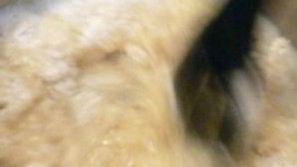 эклеры шоколадные