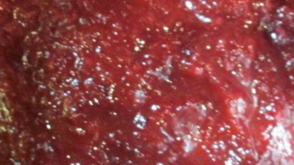 аджика из слив