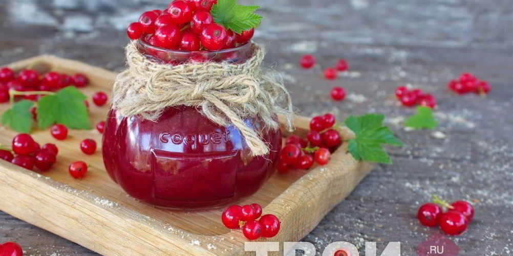 Рецепт джема из красной смородины