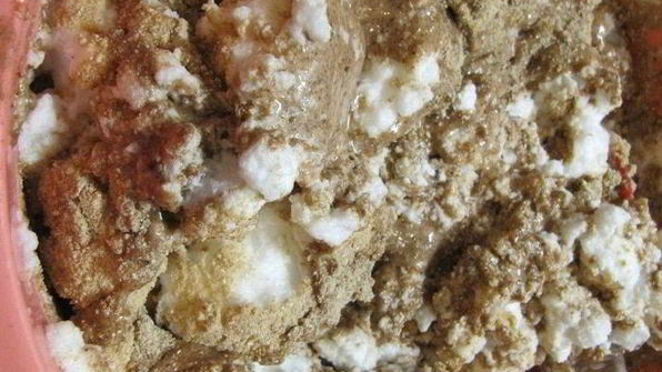 гречневый торт с брусничным компотом