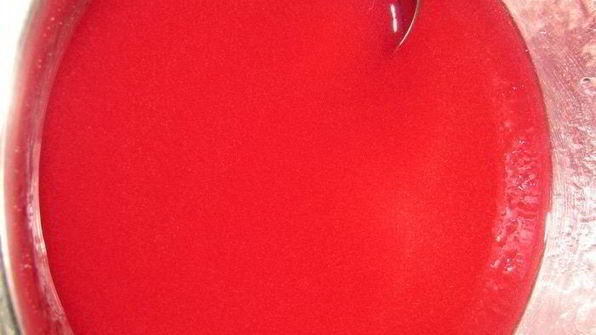 гречневый торт с брусничным компотом