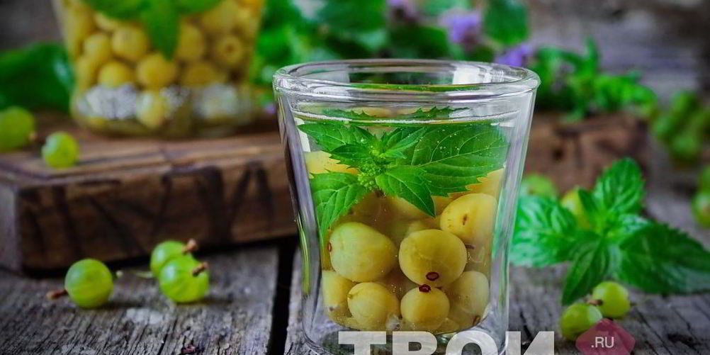 Рецепт компота из крыжовника и мяты