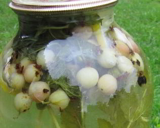 Компот из крыжовника Мохито