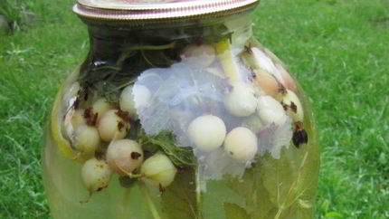 Компот из крыжовника Мохито