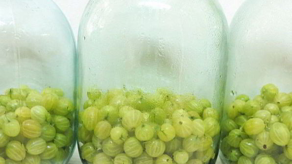 компот из крыжовника мохито