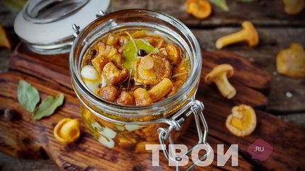 Лисички на зиму