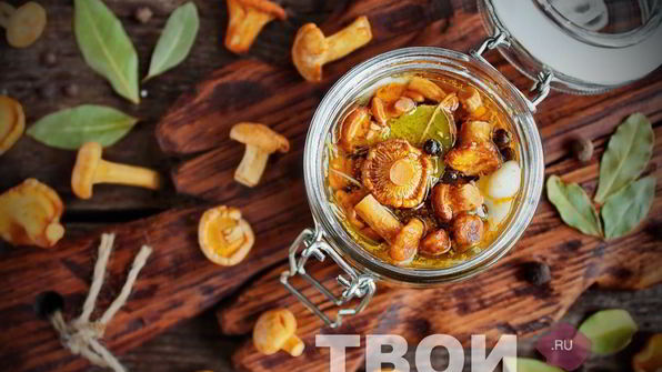 лисички на зиму