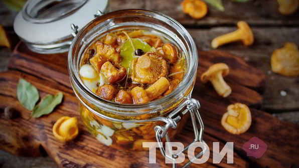 лисички на зиму