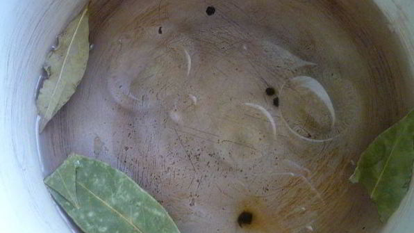 маринованный болгарский перец