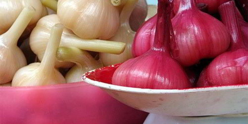 Рецепт маринованного чеснока