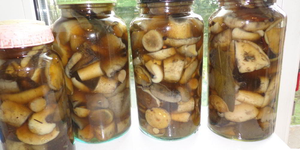 Рецепт маринованных грибов