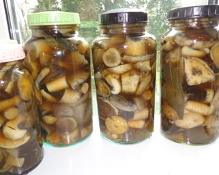 Маринованные грибы