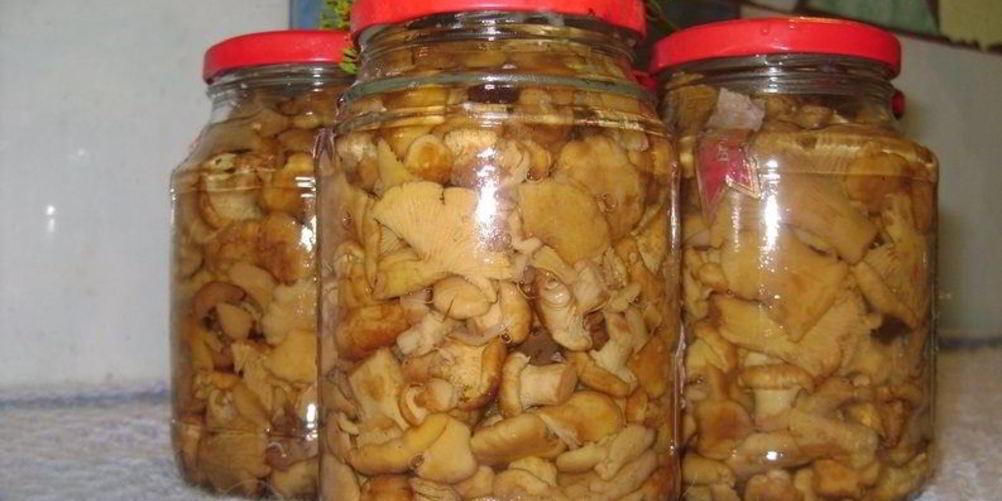 Рецепт маринованных груздей жареных