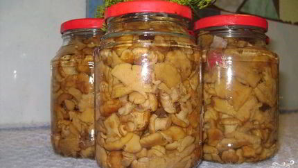 Маринованные грузди жареные