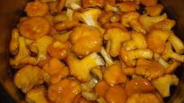 маринованные лисички с чесноком