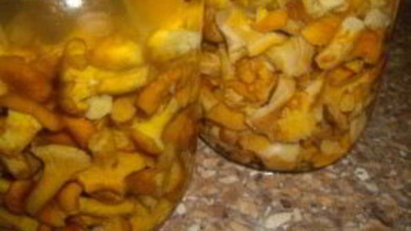 маринованные лисички с чесноком