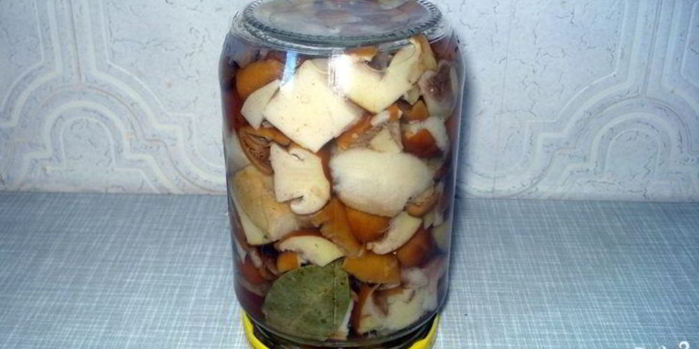 Рецепт маринованных маслят без уксуса