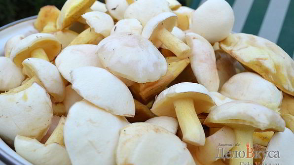 маринованные маслята на зиму