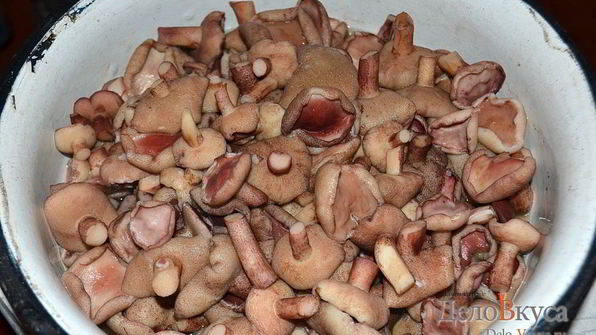 маринованные маслята на зиму