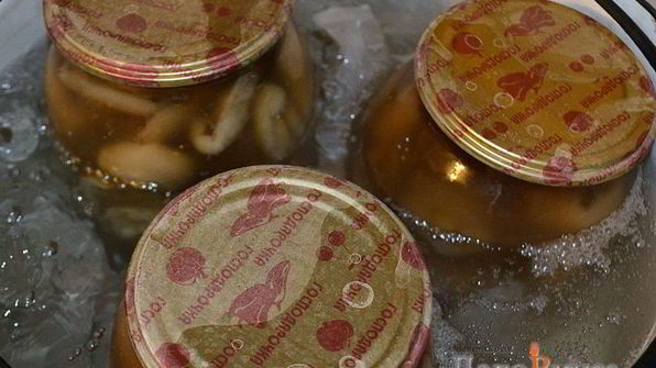 маринованные маслята на зиму