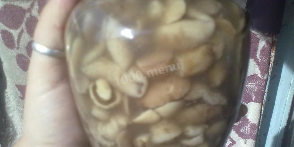 Рецепт маринованных маслят в банках