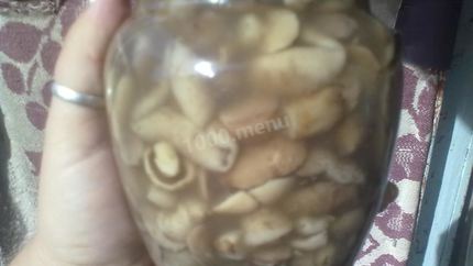 Маринованные маслята в банках