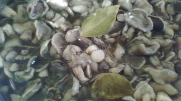 маринованные маслята в банках