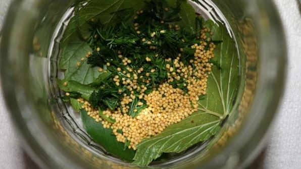 маринованные огурцы globus