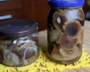 Маринованные опята
