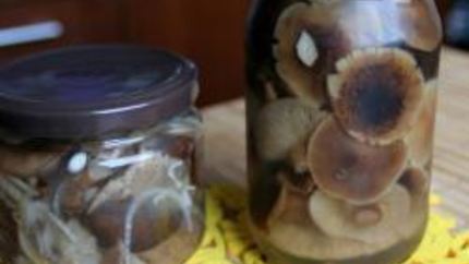 Маринованные опята