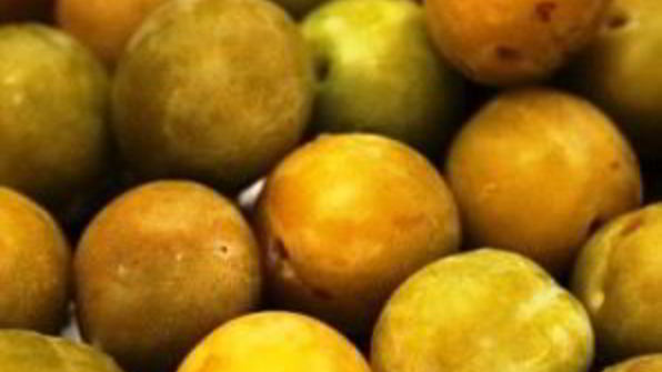 маринованные сливы