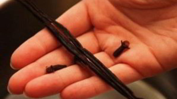 маринованные сливы