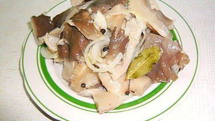 Маринованные вешенки