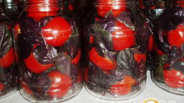 помидоры маринованные с базиликовым ароматом
