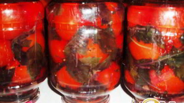 помидоры маринованные с базиликовым ароматом