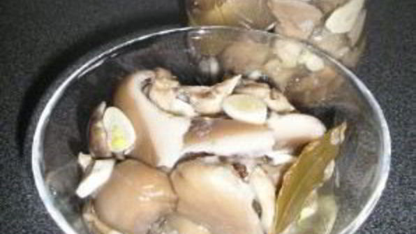 вешенки, маринованные на закуску
