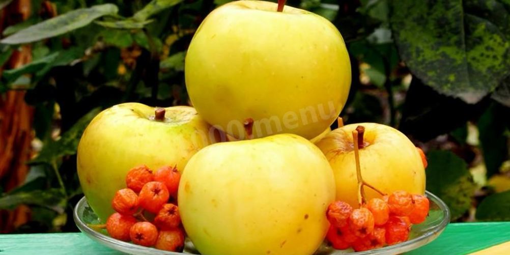 Рецепт моченых яблок на зиму