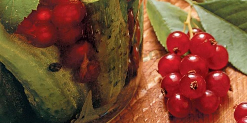 Рецепт огурцов со смородиной без стерилизации