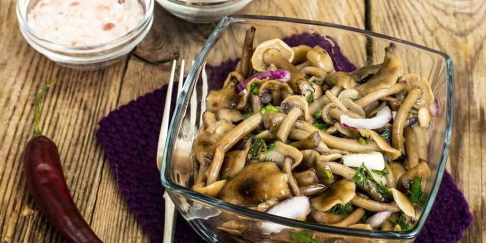 Рецепт опят соленых на зиму