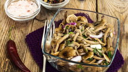 Опята соленые на зиму