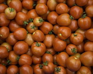 Помидоры в мультиварке на зиму