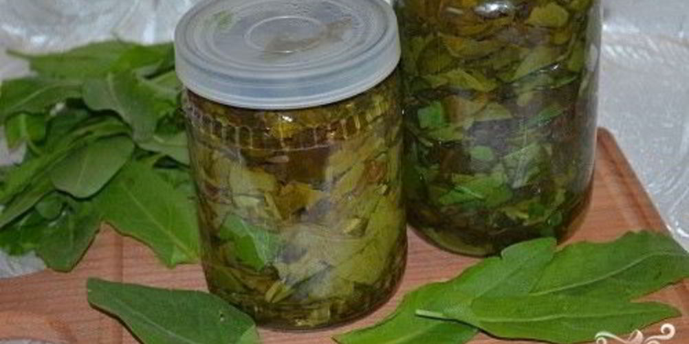 Рецепт щавеля на зиму в банке