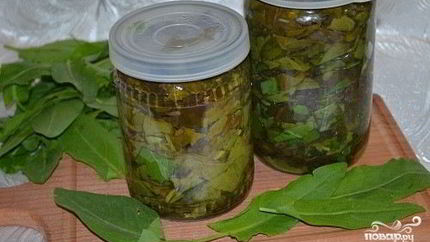 Щавель на зиму в банке