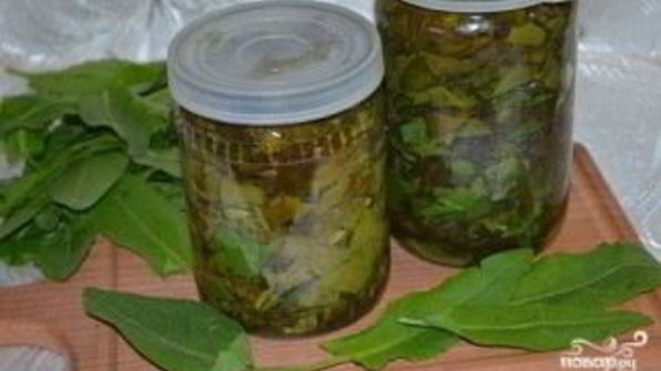 щавель на зиму в банке