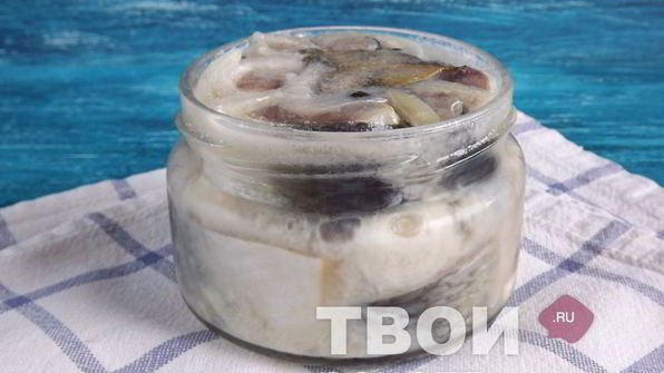 малосольная сельдь