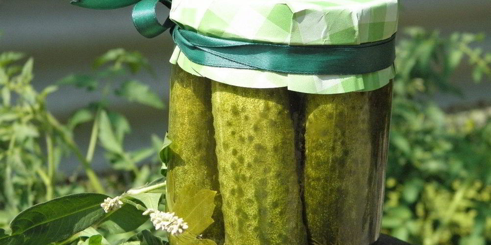 Рецепт малосольных огурчиков на зиму