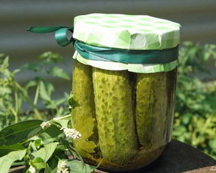 Малосольные огурчики на зиму