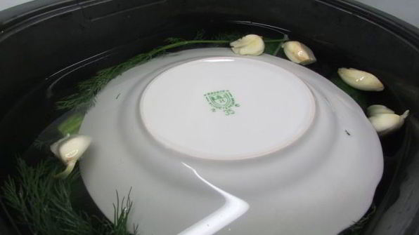 малосольные огурчики в минеральной воде