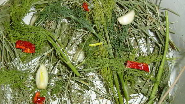 малосольные огурчики